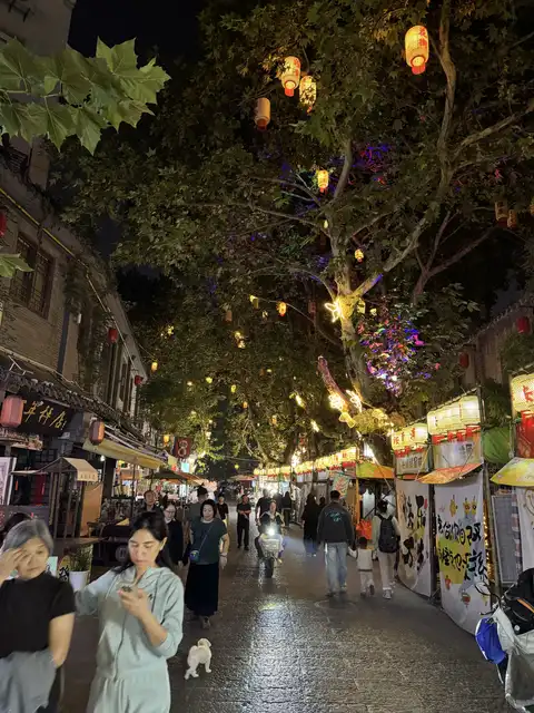 动态配图 4